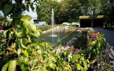 Aquadeco: dé specialist voor aquarium- en (zwem)vijveroplossingen
